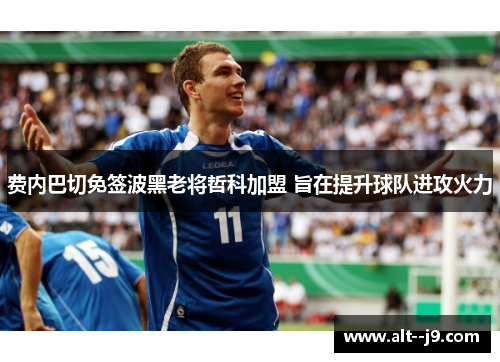 费内巴切免签波黑老将哲科加盟 旨在提升球队进攻火力